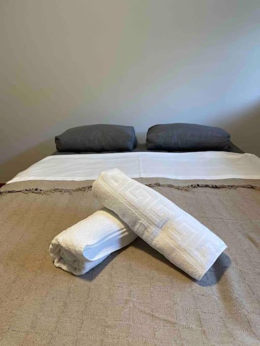 Piso Pineta Apartment Bielsa Bagian luar foto